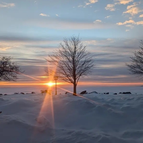 Meet your Poshers, Los Carmenatty - Picture 2 of 16